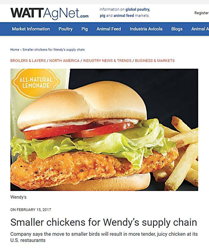 WattAgNet-wendys-chicken-sandwich-report