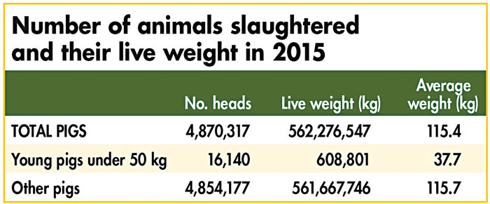 number of animals slaughtered in Romania