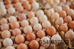 brown-eggs-in-baskets