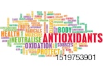 antioxidants in animal nutrition