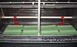 fiber trays in chicken cage