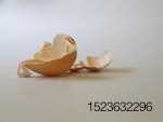 egg-shell