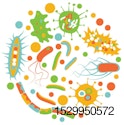 Bacteria-Graphic.jpg