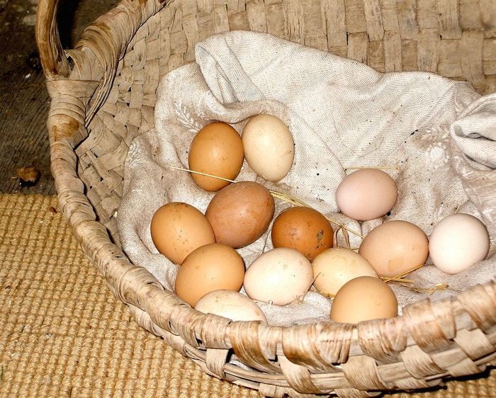 eggs-in-basket