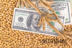 dollar-soybeans.jpg