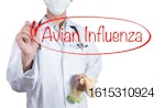 avian-flu