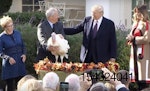 Trump-national-turkey