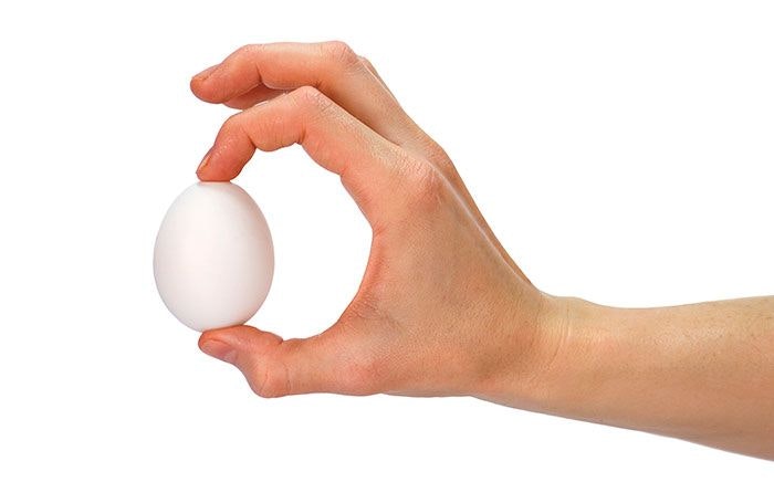 hand holding white egg