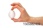 hand holding white egg