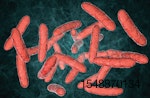 gut-microbiota-probiotics.jpg