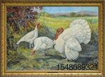 White-Holland-Turkeys-Print