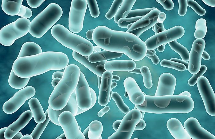 Probiotics support gut health