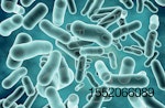 probiotics-support-gut-health.jpg