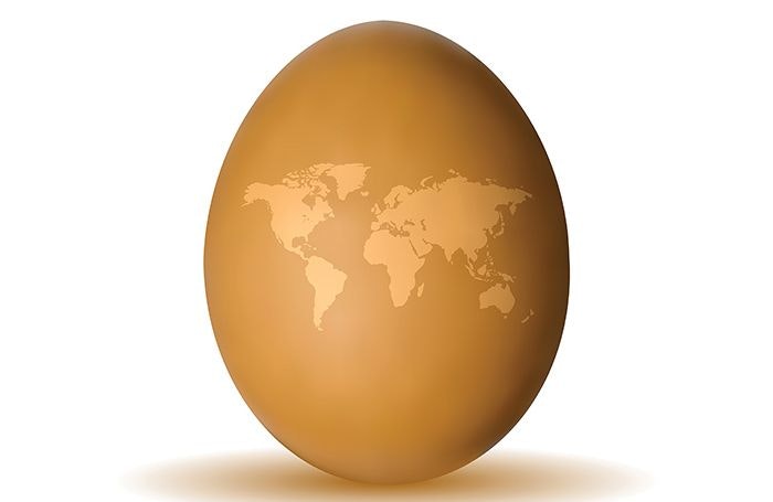 brown-egg-with-continents.jpg