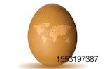 brown-egg-with-continents.jpg