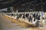 dairy-farm.jpg