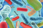 Gut-bacterial-population-2.jpg