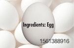 Ingredients Egg.jpg