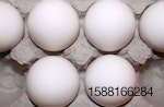 white-eggs-carton.jpg