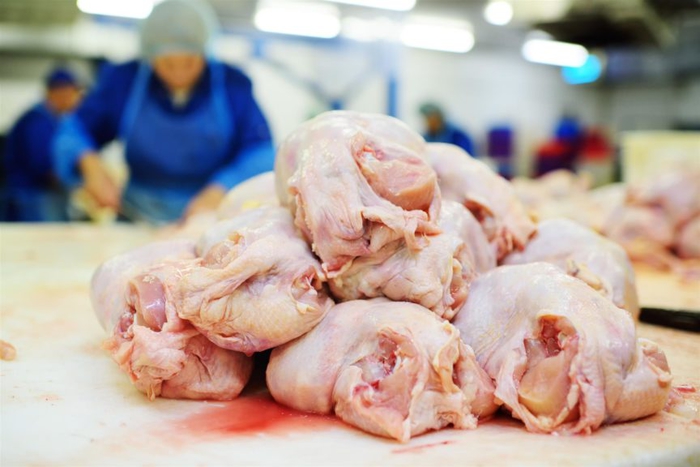 raw-chicken-in-a-poultry-processing-plant