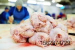 raw-chicken-in-a-poultry-processing-plant
