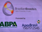 Brazilian-Breeders-SIAVS2019