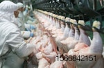chicken-processing-line-5