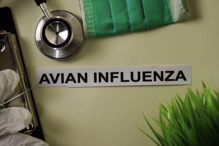 Avian influenza sign
