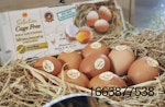 CP-Foods-Cage-free-eggs