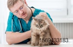 Cat-veterinarian