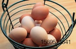 brown-and-white-eggs-in-basket.jpg