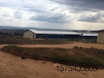 Peal-broiler-farm-Rwanda