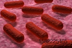 e-coli-bacteria