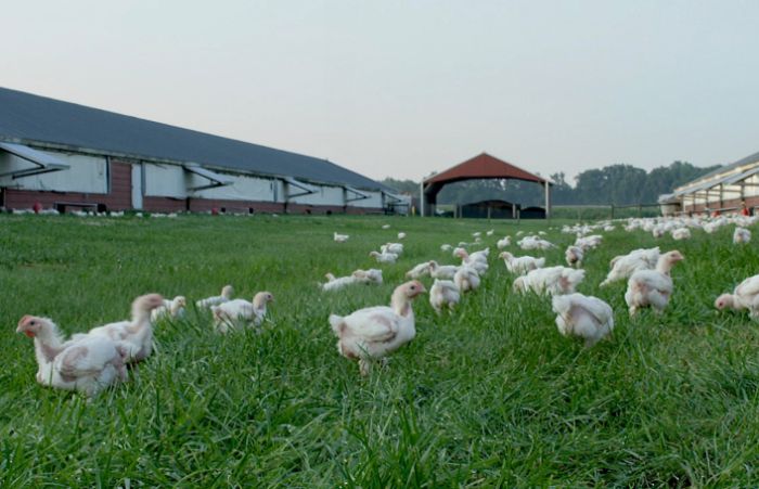 Perdue-Farms-outdoor-access