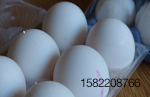 Eggs-Spain