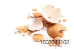 broken-egg-shell