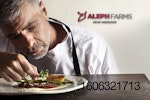 Aleph-cultivated-steak