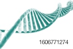 DNA-strand-on-white