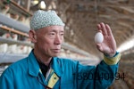 japanese man holding egg