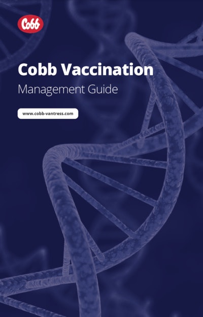 Cobb-Vantress-Vaccination-Management-Guide