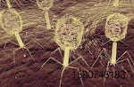 Phage-attacking-bacteria