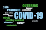 COVID-19_Poultry_word-cloud
