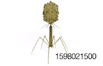 bacteriophage-virus