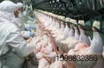 chicken-processing-line