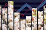 Abstract-projection-for-poultry-market-in-2020.jpg