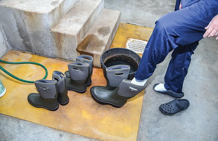 biosecurity boot covers