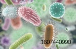 Communicating-gut-bacteria