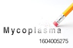 Eliminating-Mycoplasma