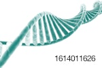 DNA strand on white