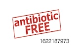 antibiotic-free-rubber-stamp
